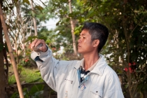 Гиббоны и северный Лаос в режиме Lao Time…(фото, трафик) Гиббоны и северный Лаос в режиме Lao Time…(фото, трафик)