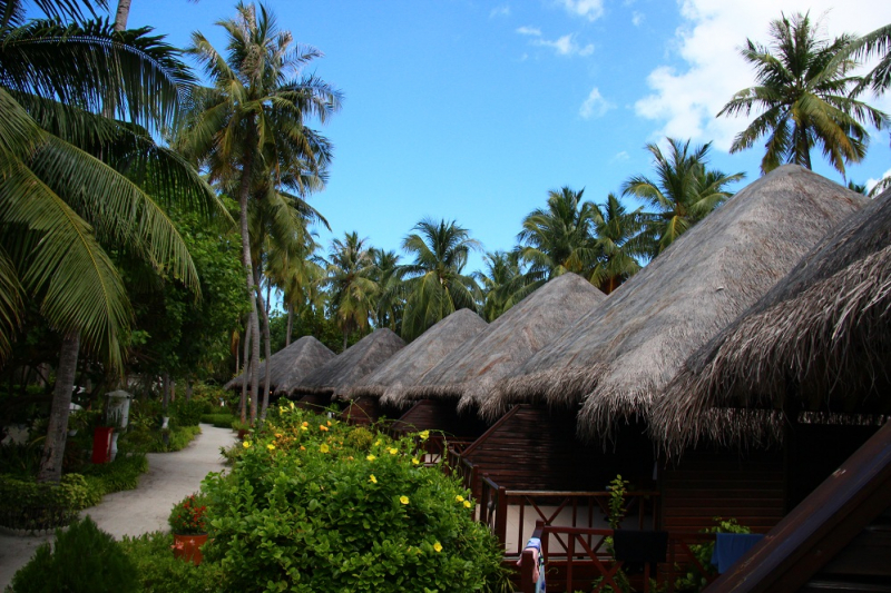 Ну, если выбора нет, то летим на Мальдивы)). Январь 2021. Остров-отель Bandos Maldives.