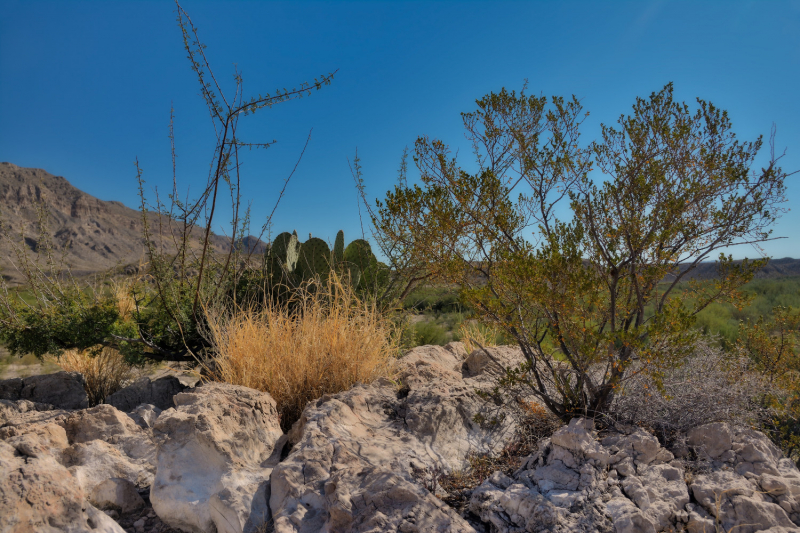 Big Bend National Park, Carlsbad Caverns NP, парки штата и некоторые достопримечательности Техаса и немного Луизианы