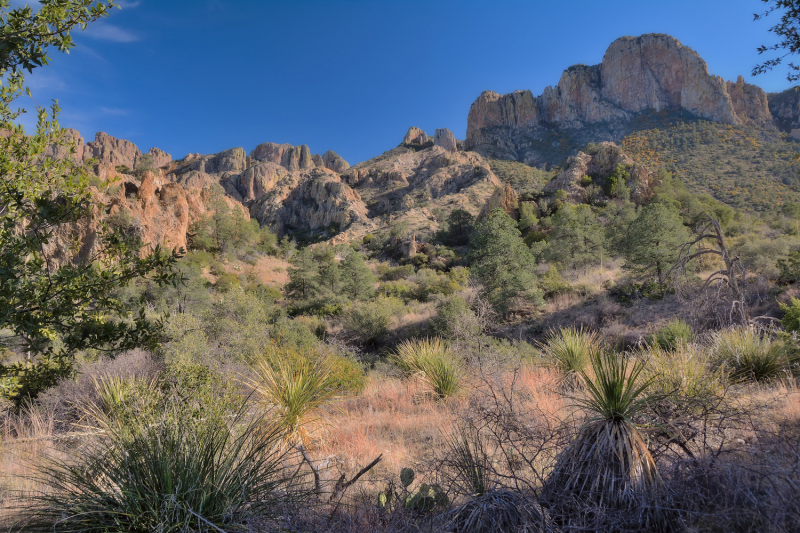 Big Bend National Park, Carlsbad Caverns NP, парки штата и некоторые достопримечательности Техаса и немного Луизианы