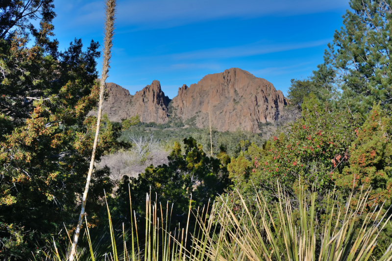 Big Bend National Park, Carlsbad Caverns NP, парки штата и некоторые достопримечательности Техаса и немного Луизианы