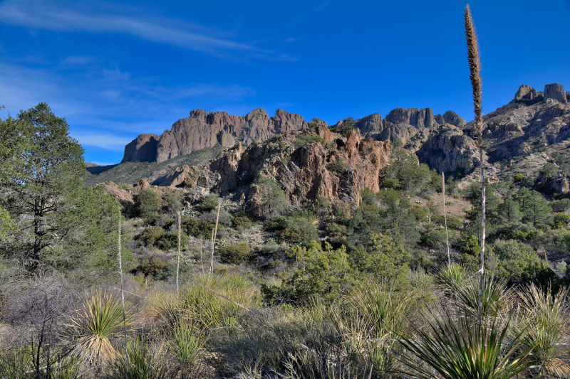 Big Bend National Park, Carlsbad Caverns NP, парки штата и некоторые достопримечательности Техаса и немного Луизианы