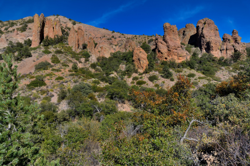 Big Bend National Park, Carlsbad Caverns NP, парки штата и некоторые достопримечательности Техаса и немного Луизианы