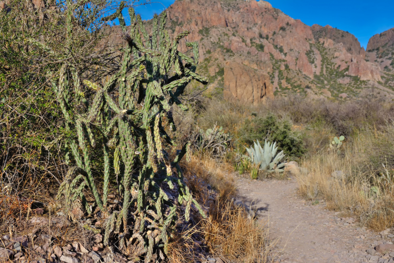 Big Bend National Park, Carlsbad Caverns NP, парки штата и некоторые достопримечательности Техаса и немного Луизианы