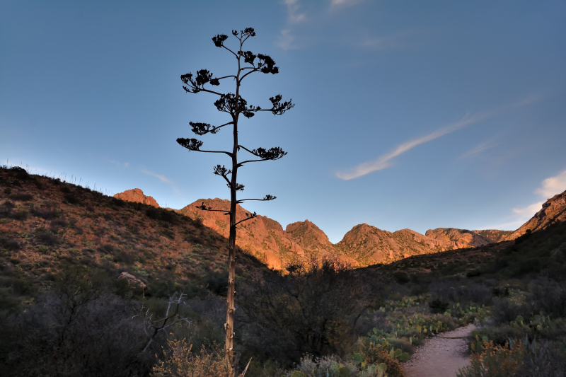 Big Bend National Park, Carlsbad Caverns NP, парки штата и некоторые достопримечательности Техаса и немного Луизианы