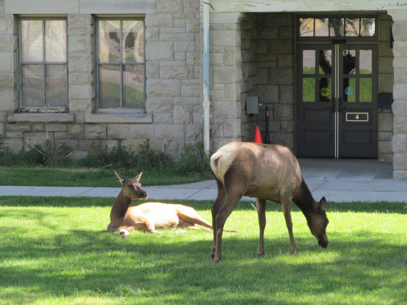 Вело Йеллоустон и Гранд Титон 2017г