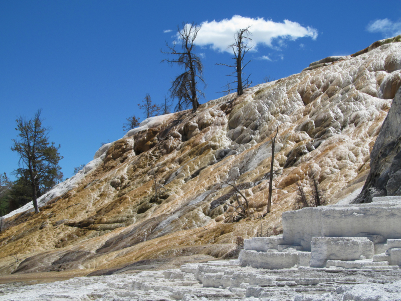 Вело Йеллоустон и Гранд Титон 2017г