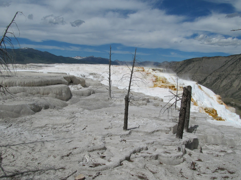 Вело Йеллоустон и Гранд Титон 2017г