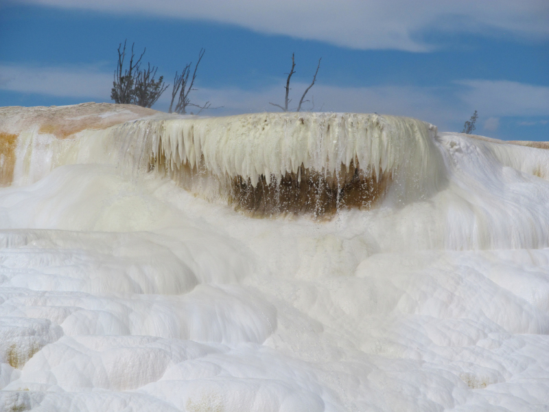 Вело Йеллоустон и Гранд Титон 2017г