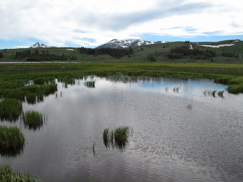 Вело Йеллоустон и Гранд Титон 2017г