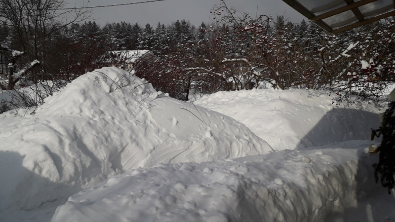 Зима, сугробы торжествуют