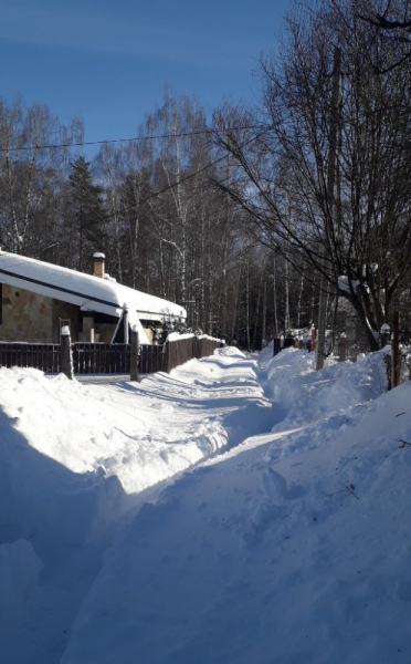 Бельгия: 20  лет спустя