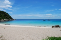 Куда поехать отдыхать в Тай (насекомые)