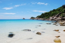 Куда поехать отдыхать в Тай (насекомые)