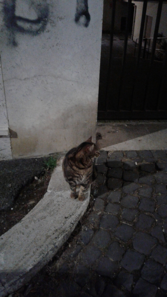 La mia vita. Римские записки, дневник онлайн