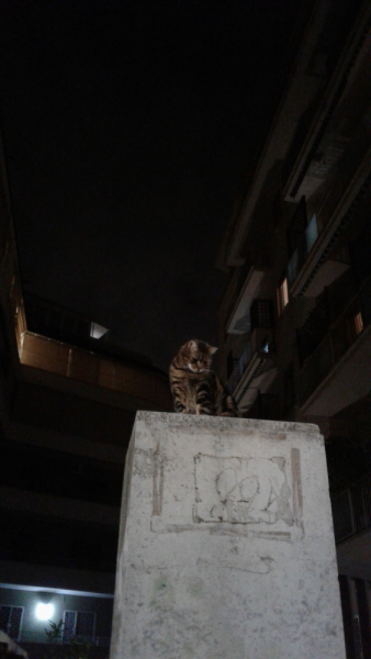 La mia vita. Римские записки, дневник онлайн