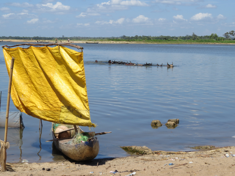 Мадагаскар-2020: Из крайности в крайность