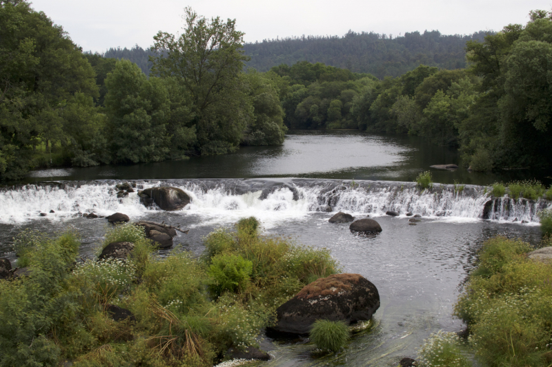 Camino de Santiago (Camino Frances), лето 2019