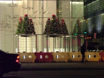 DSCF7994_новый размер.JPG