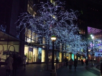 DSCF8008_новый размер.JPG