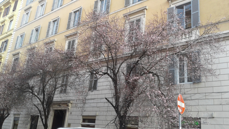 La mia vita. Римские записки, дневник онлайн