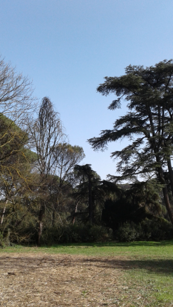 La mia vita. Римские записки, дневник онлайн