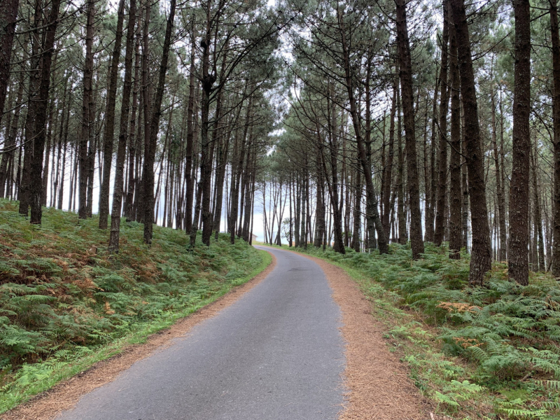 Camino de Santiago (Camino Frances), лето 2019