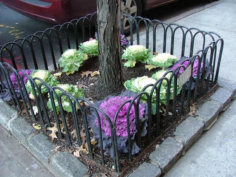 DSCF8029_новый размер.JPG