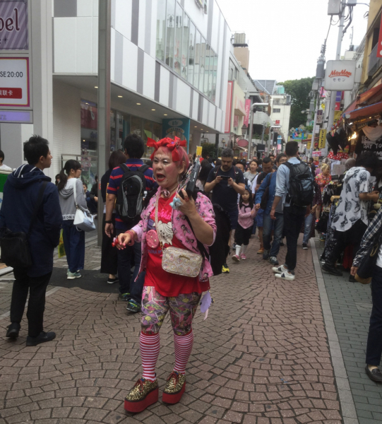 Tokyo-Kamakura-Hakone-Kyoto-Osaka, Май 2017