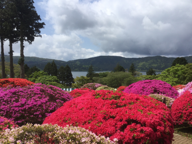 Tokyo-Kamakura-Hakone-Kyoto-Osaka, Май 2017