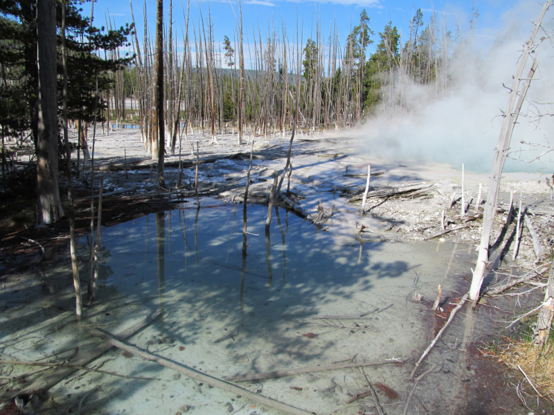 Вело Йеллоустон и Гранд Титон 2017г
