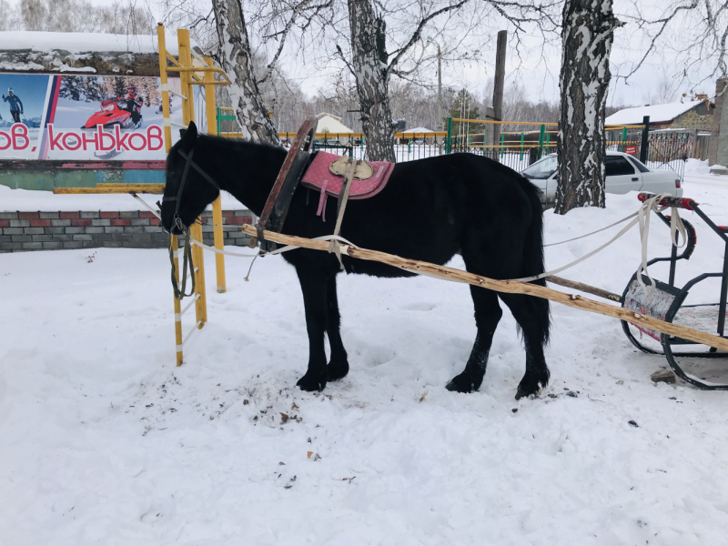 Знакомая кривая дорога короче, чем незнакомый прямой путь. Однодневные поездки по Уралу из Челябинска.