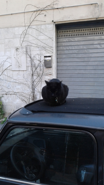 La mia vita. Римские записки, дневник онлайн