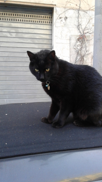 La mia vita. Римские записки, дневник онлайн