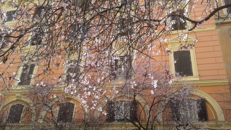 La mia vita. Римские записки, дневник онлайн