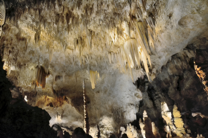 Big Bend National Park, Carlsbad Caverns NP, парки штата и некоторые достопримечательности Техаса и немного Луизианы