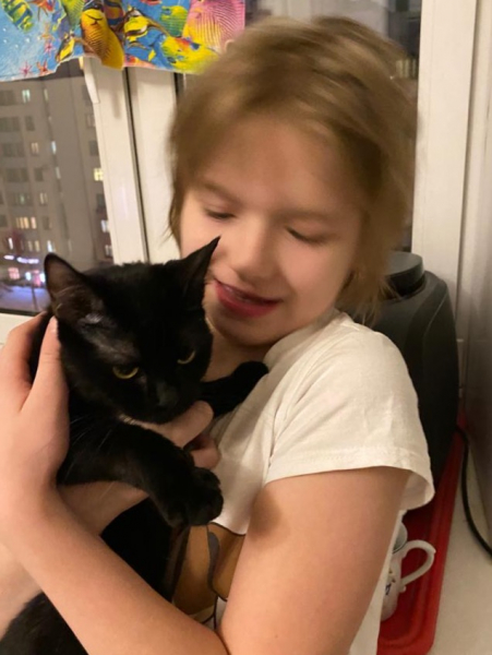 Кошки в нашей жизни. Кошки и все, что с ними связано.