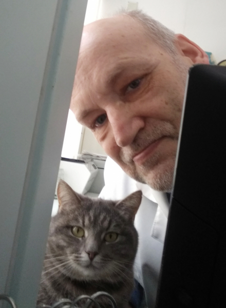 Кошки в нашей жизни. Кошки и все, что с ними связано.