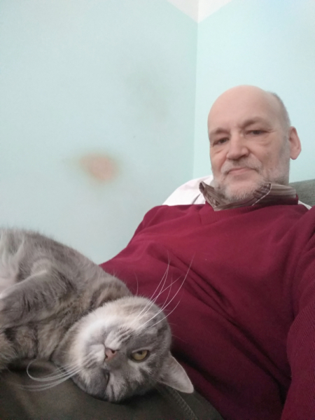 Кошки в нашей жизни. Кошки и все, что с ними связано.