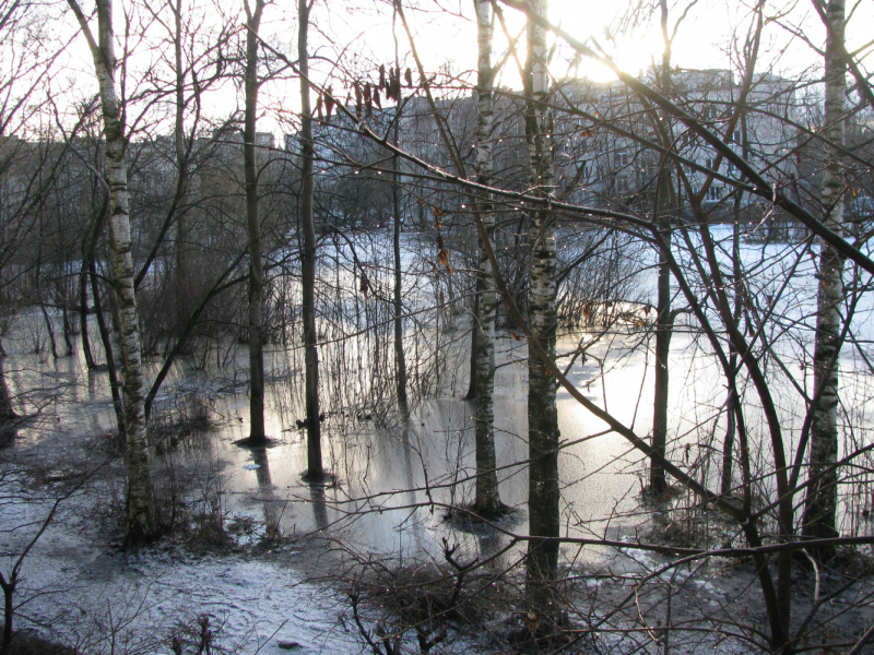 La mia vita. Римские записки, дневник онлайн