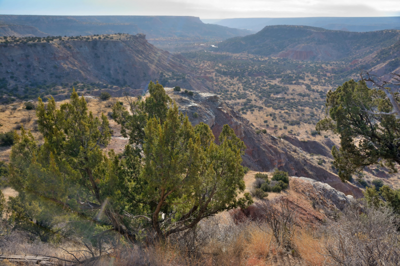 Big Bend National Park, Carlsbad Caverns NP, парки штата и некоторые достопримечательности Техаса и немного Луизианы