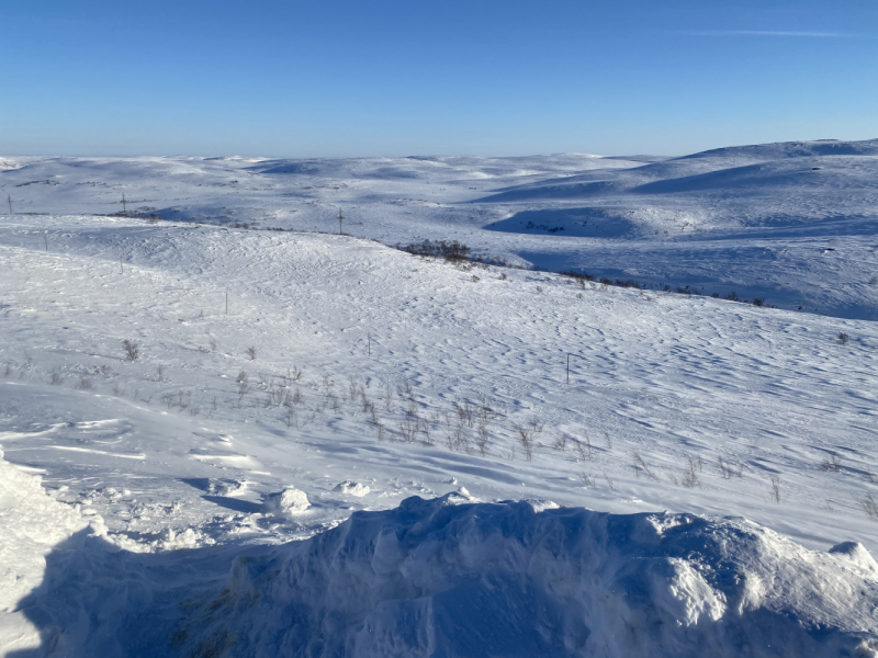 Мурманск 20-23.02.21. Териберка, северное сияние, небольшая фото параллель с летней поездкой