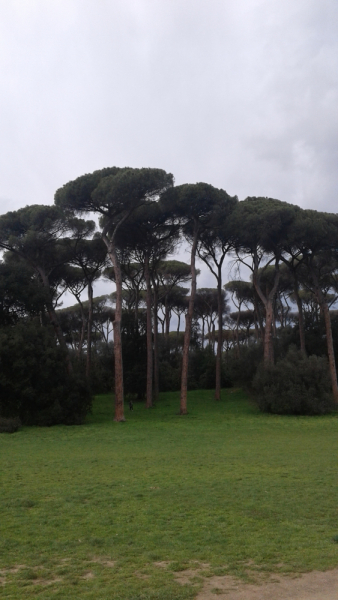 La mia vita. Римские записки, дневник онлайн