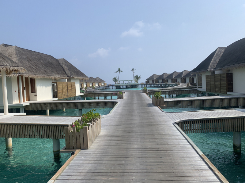 Furaveri Island Resort & Spa март - апрель 2021