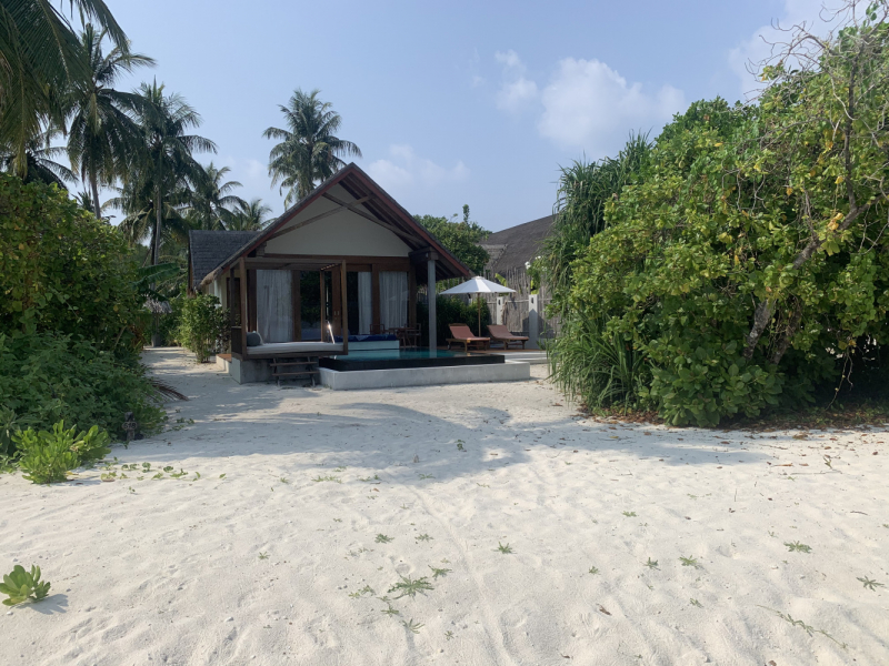 Furaveri Island Resort & Spa март - апрель 2021