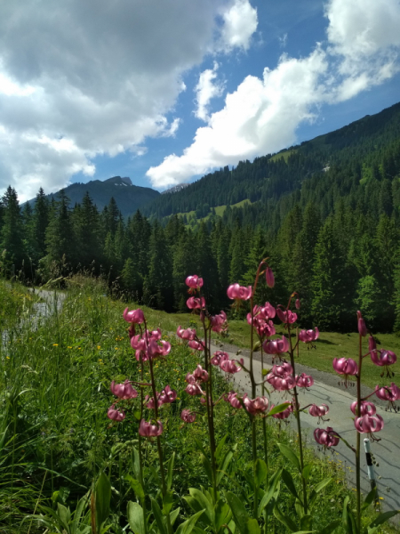 Via Alpina. Неделя  в Швейцарских Альпах. Пешком, бюджетно. Июль 2019 г.