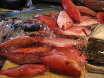 Филиппинский трип