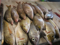 Филиппинский трип