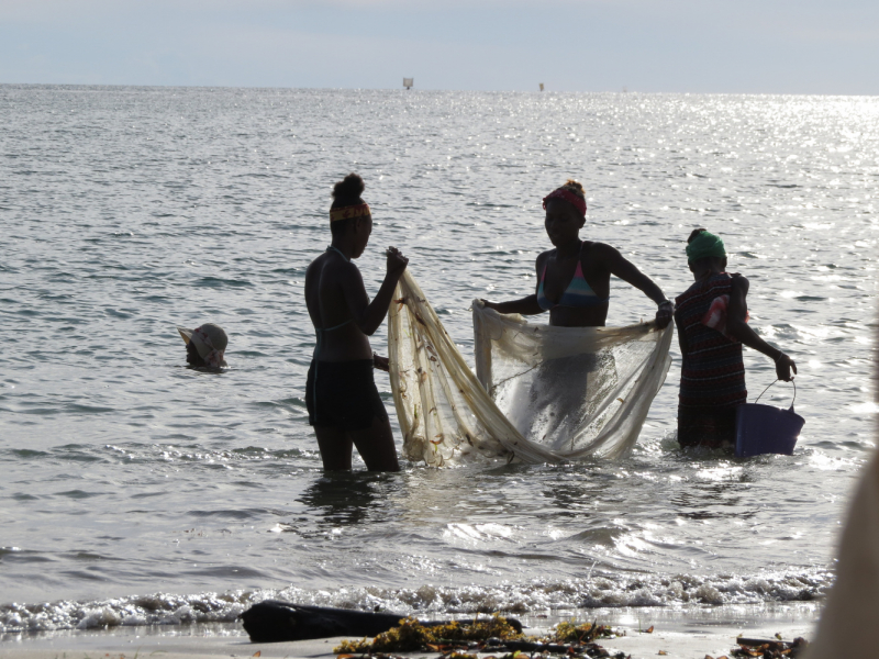 Мадагаскар-2020: Из крайности в крайность