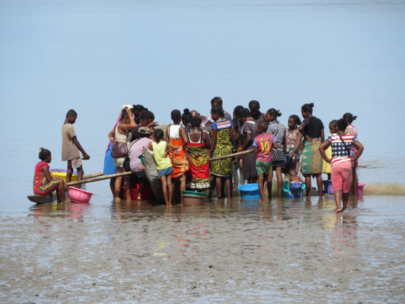 Мадагаскар-2020: Из крайности в крайность